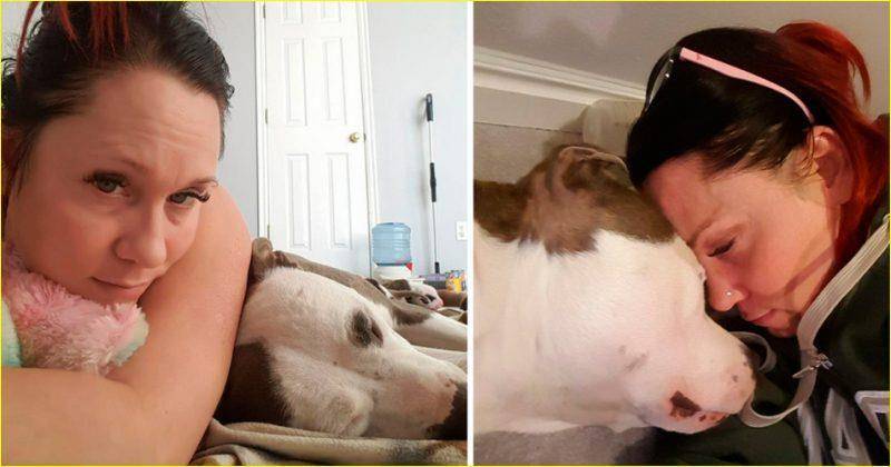 Девушка приютила брошенную беременную собаку, и вот как питомица ее отблагодарила