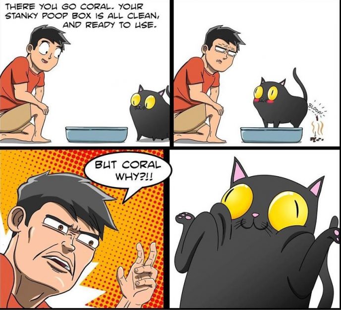Комиксы о жизни с кошкой
