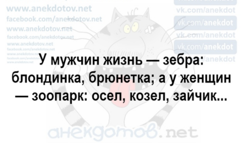 Подборка отличного юмора из сети